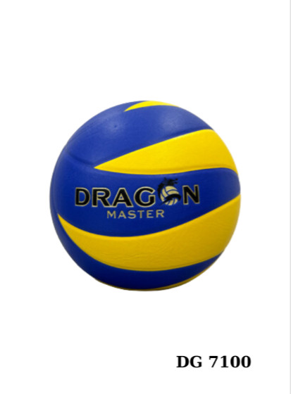 Bóng chuyền Thăng Long DG7100
