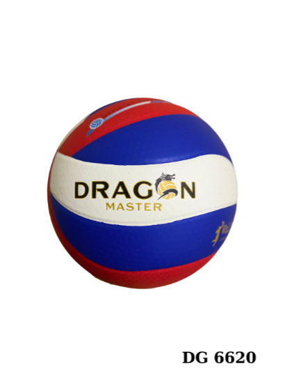 Bóng chuyền Thăng Long DG6620