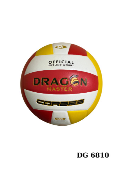 Bóng chuyền Thăng Long DG6810
