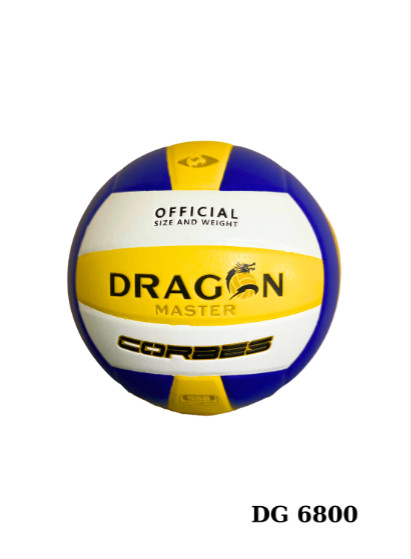 Bóng chuyền Thăng Long DG6800