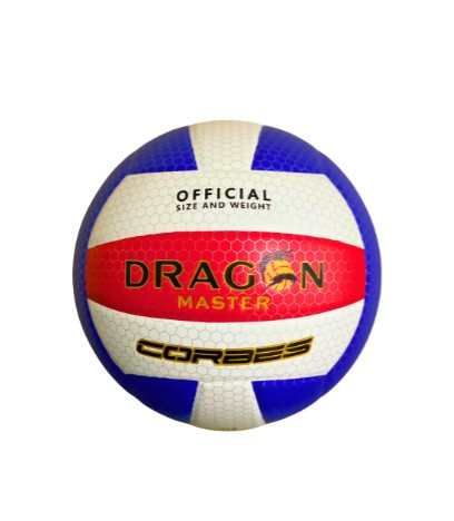 Bóng chuyền Thăng Long DG6920